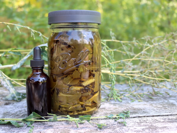 Wild Lettuce Tincture