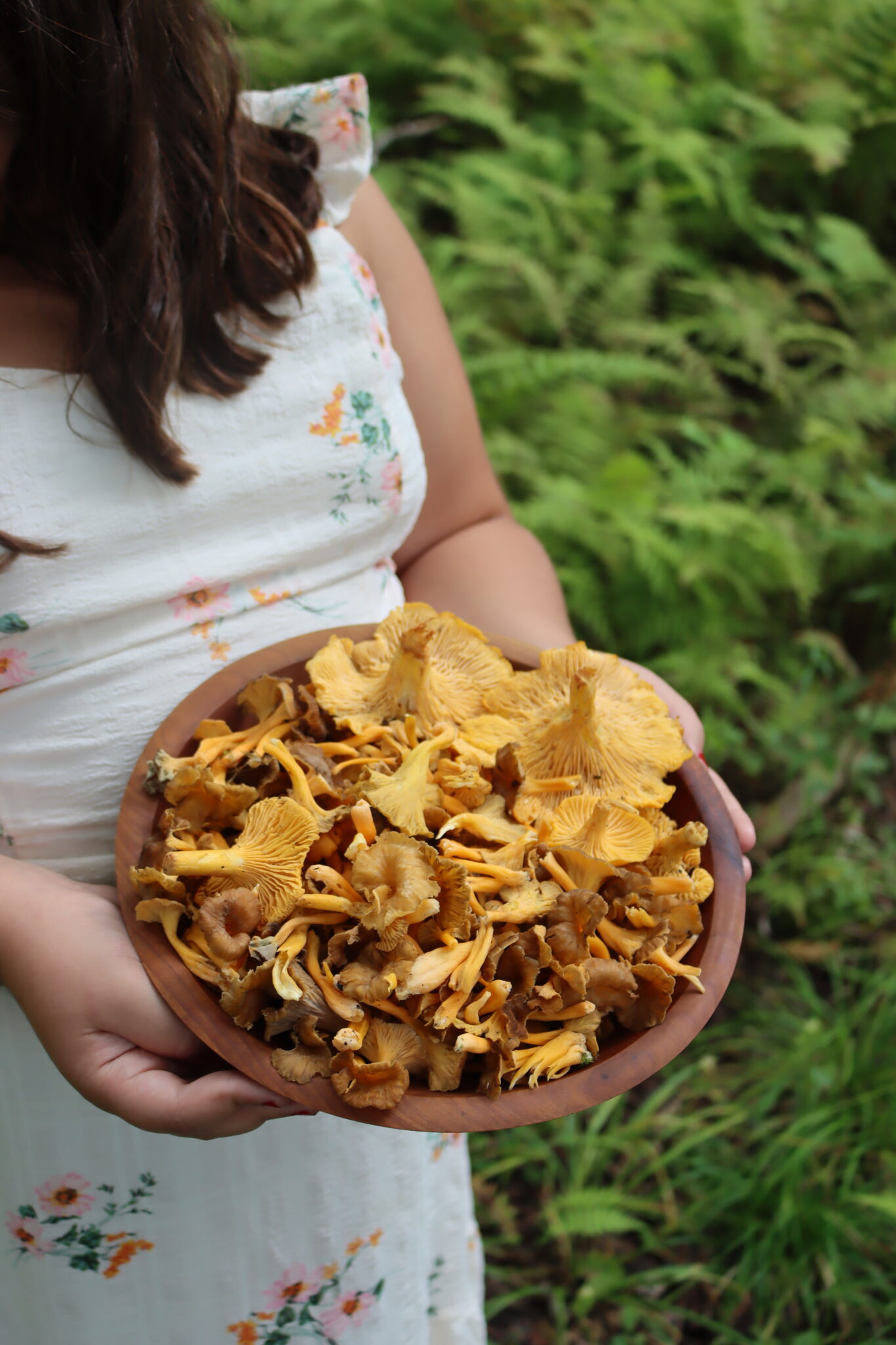Yellowfoot Chanterelles
