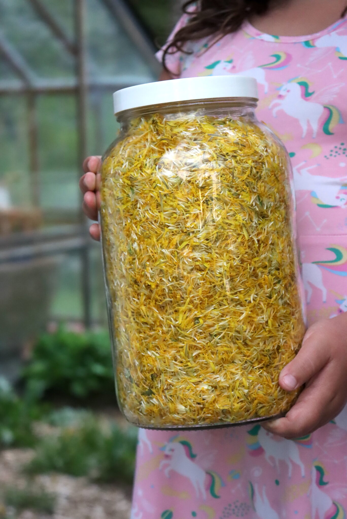 Dandelion Flower Petals