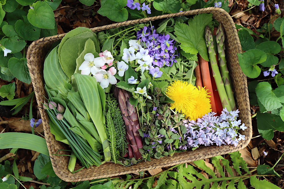 Spring Foraging Basket