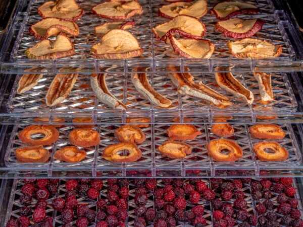 Dehydrating Fruit