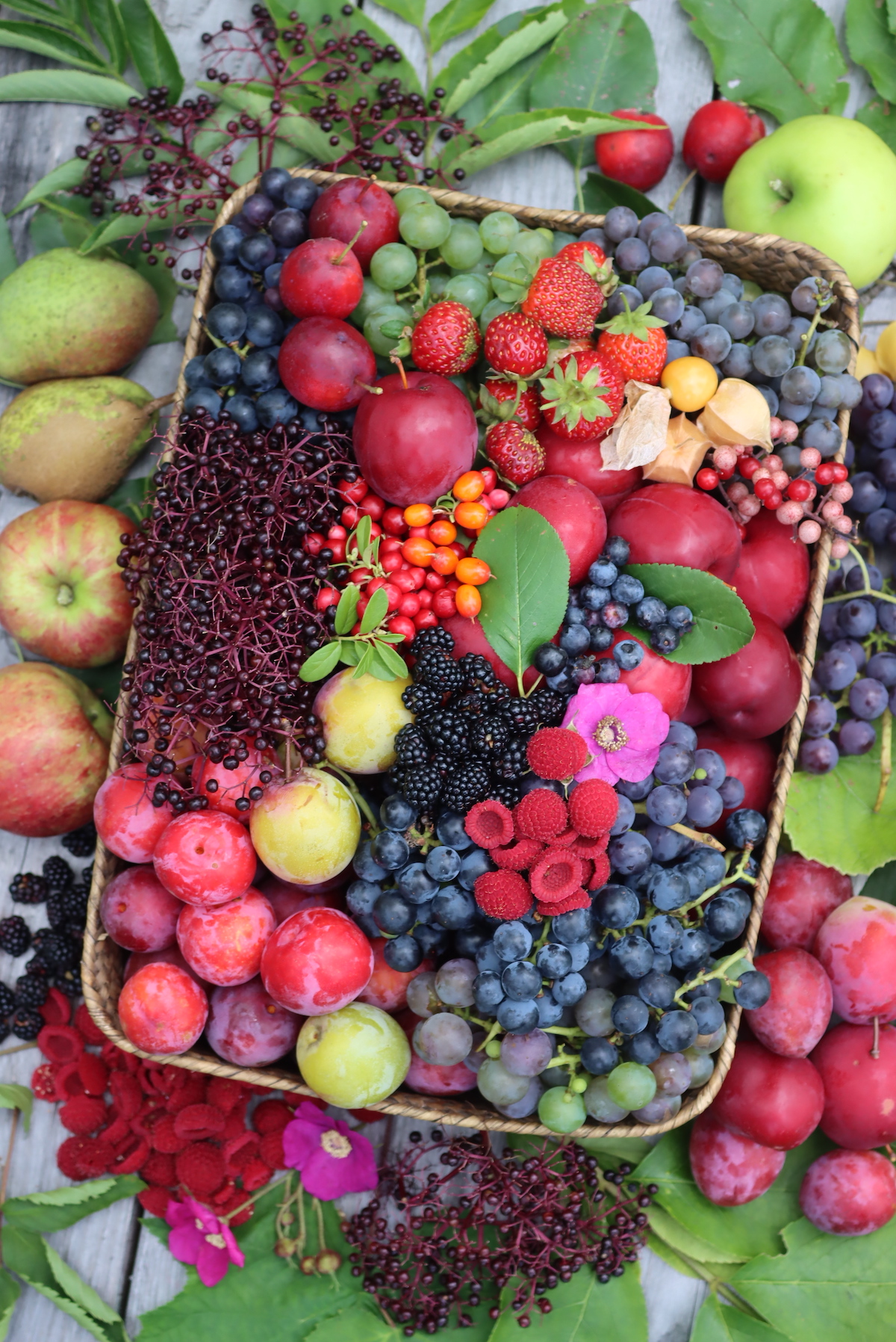 September Harvest Basket 16