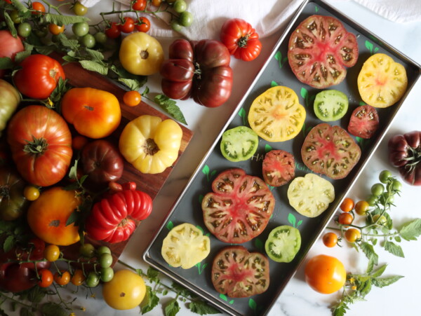 Freeze Drying Tomatoes