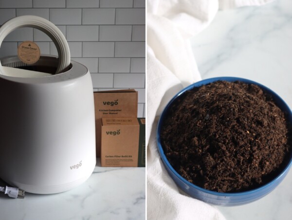 Countertop Composting For Beginners