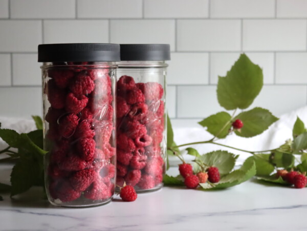 Freeze Dried Raspberries