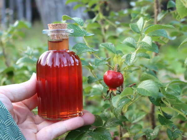 Rose Hip Syrup