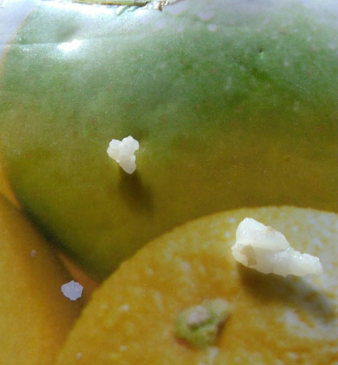 rice_20170516_130513