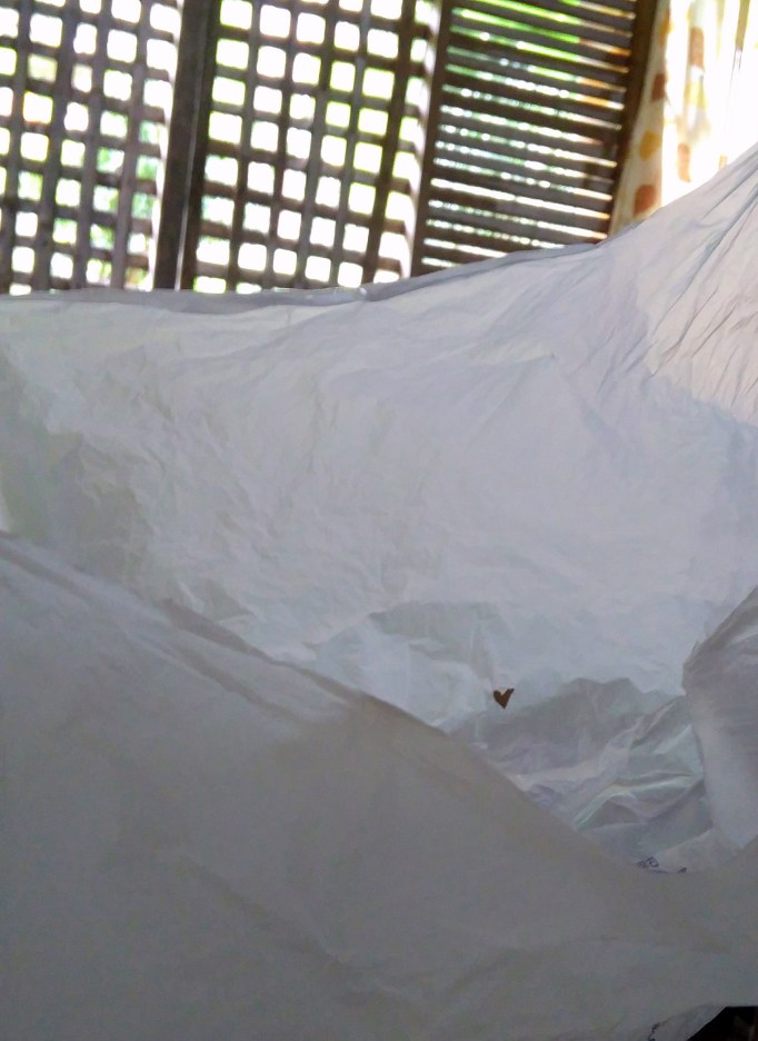 seeing hearts 10: love in unexpected places