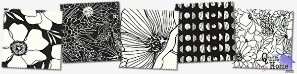 Illustrations Canvas by Alli K Design