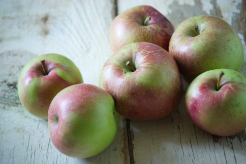 The Best Apple Bars | Relishing It