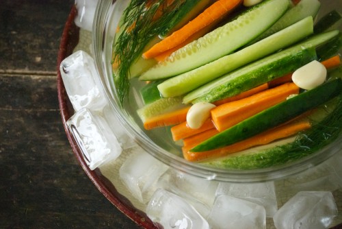 Crunchy Refrigerator Pickles with Dill + Garlic | Relishing It