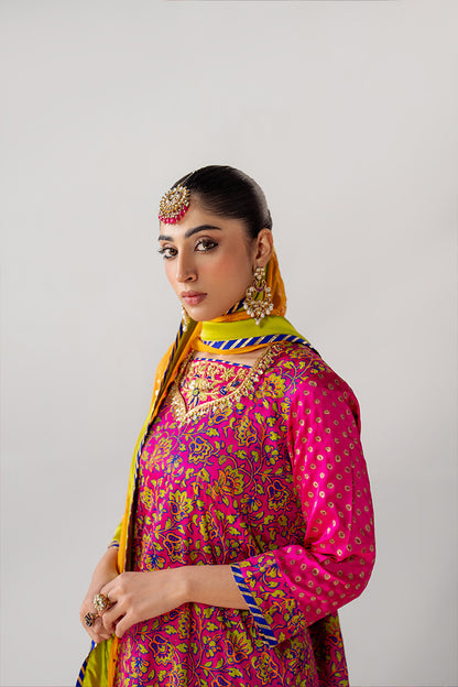 Vivid Laila – Elegant Silk Outfit with Embroidered Details