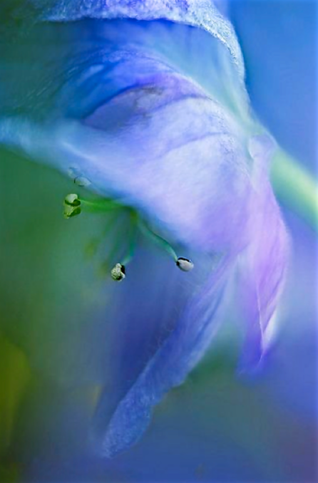 Screen Shot 2016-04-04 at 3.56.27 PM.png