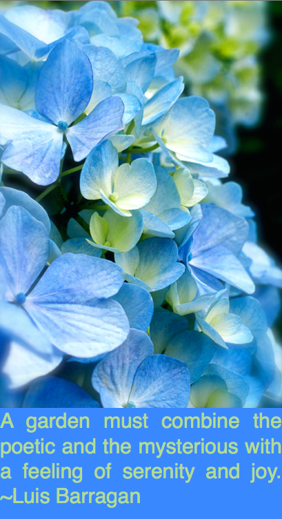 Screen Shot 2017-02-25 at 10.31.10 PM.png