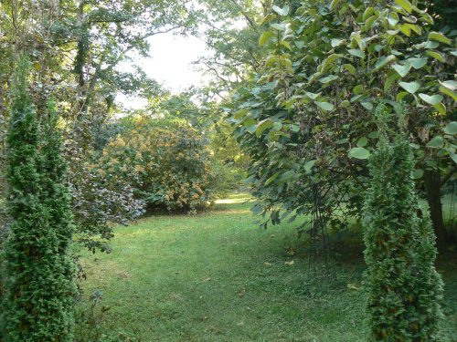 Thru to Viburnum Court