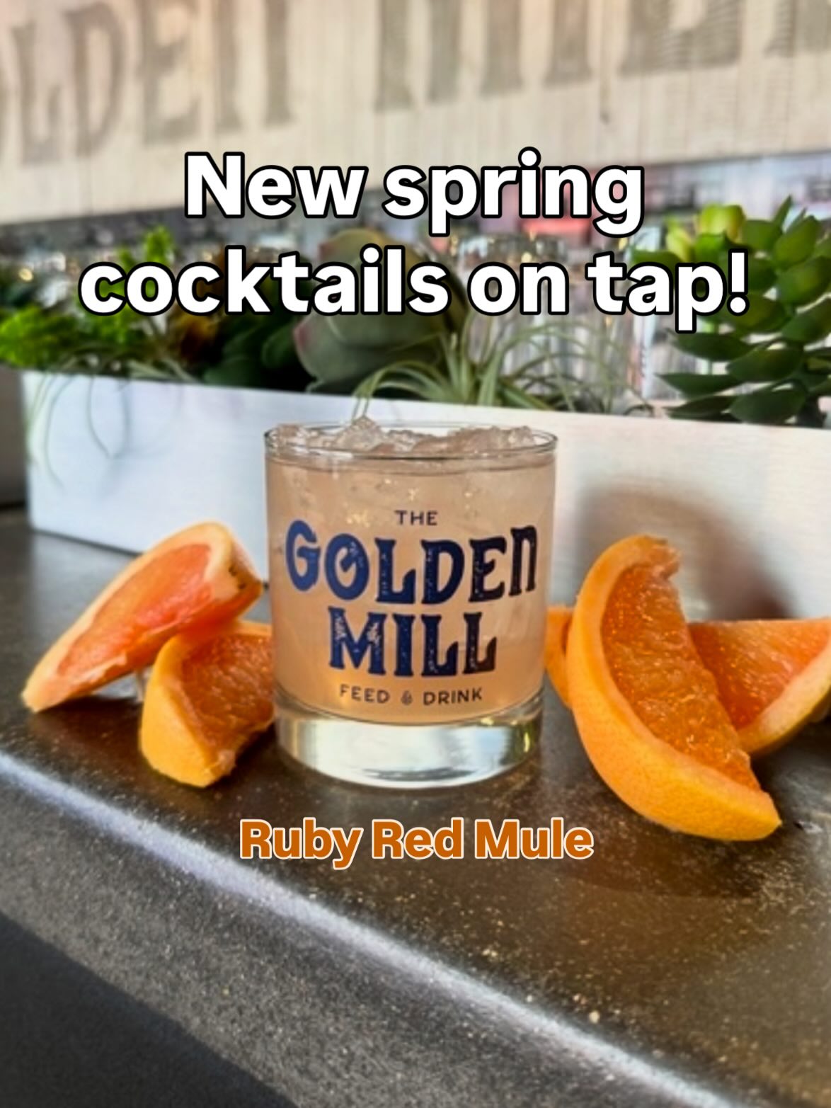 Spring is doing its thing, so we are too. 🌸 Three fresh cocktails hit the taps next week:
• Ruby Red Mule: Deep Eddy Ruby Red Vodka, ginger beer, + lime - citrusy, bright, & refreshing
• Wildflower Dayz: Idlewild Purple Dayz Gin, wildflower syrup, + lemon - floral, lightly sweet, and botanical
• Orange Spritzen: CapRock Sunset Aperitivo, sparkling Pinot Grigio, + lemon - bubbly & bittersweet
(PS - this means we’re waving goodbye to the Cranberry Mule, Whiskey Orchard Mule, and Espresso Martini).