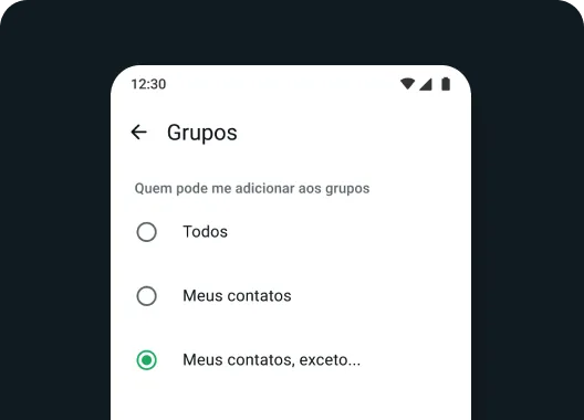 captura de tela do recurso de configurações de grupos no WhatsApp mostrando como editar os dados do grupo e adicionar ou remover membros