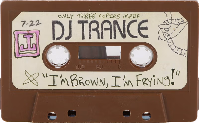 I'm Brown, I'm Frying! mixtape by DJ Trance