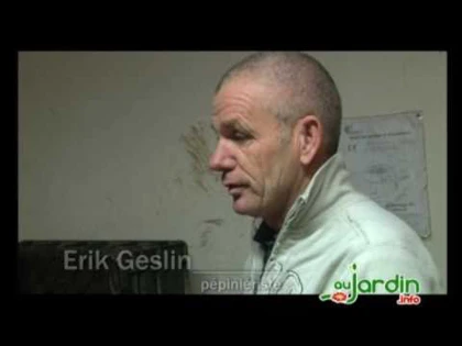 Le greffage, pourquoi greffer ?