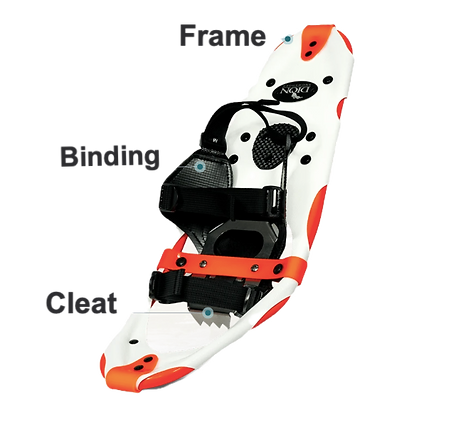 Dion Laser_edited_edited.png