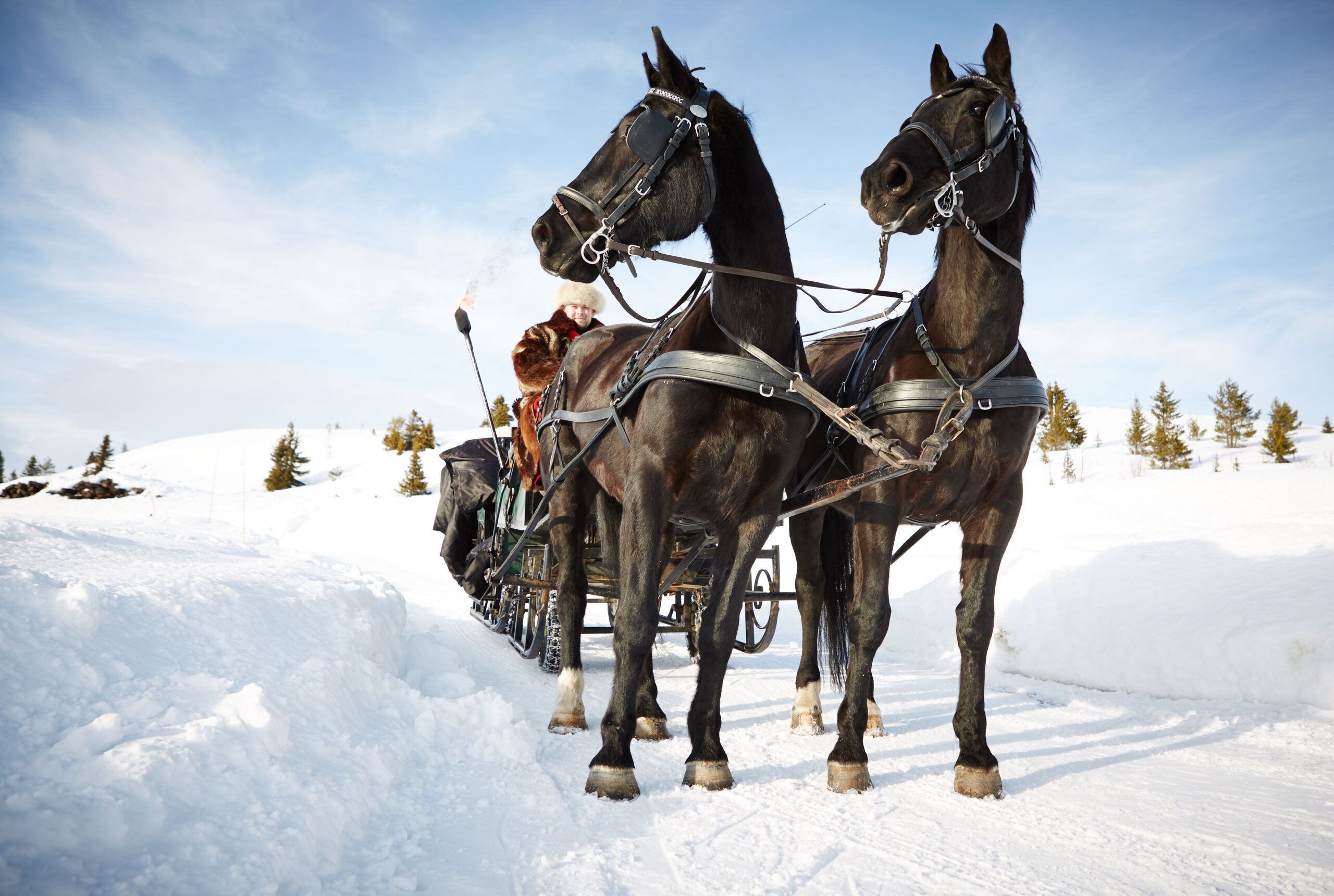 Kanefart på Storefjell Kanefart