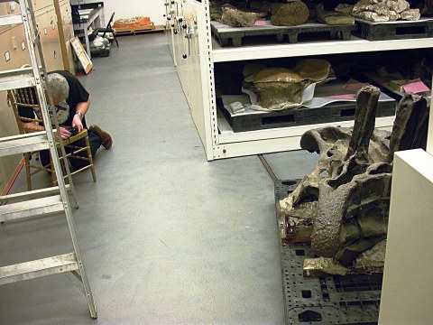 mike-with-a-minimus-in-basement