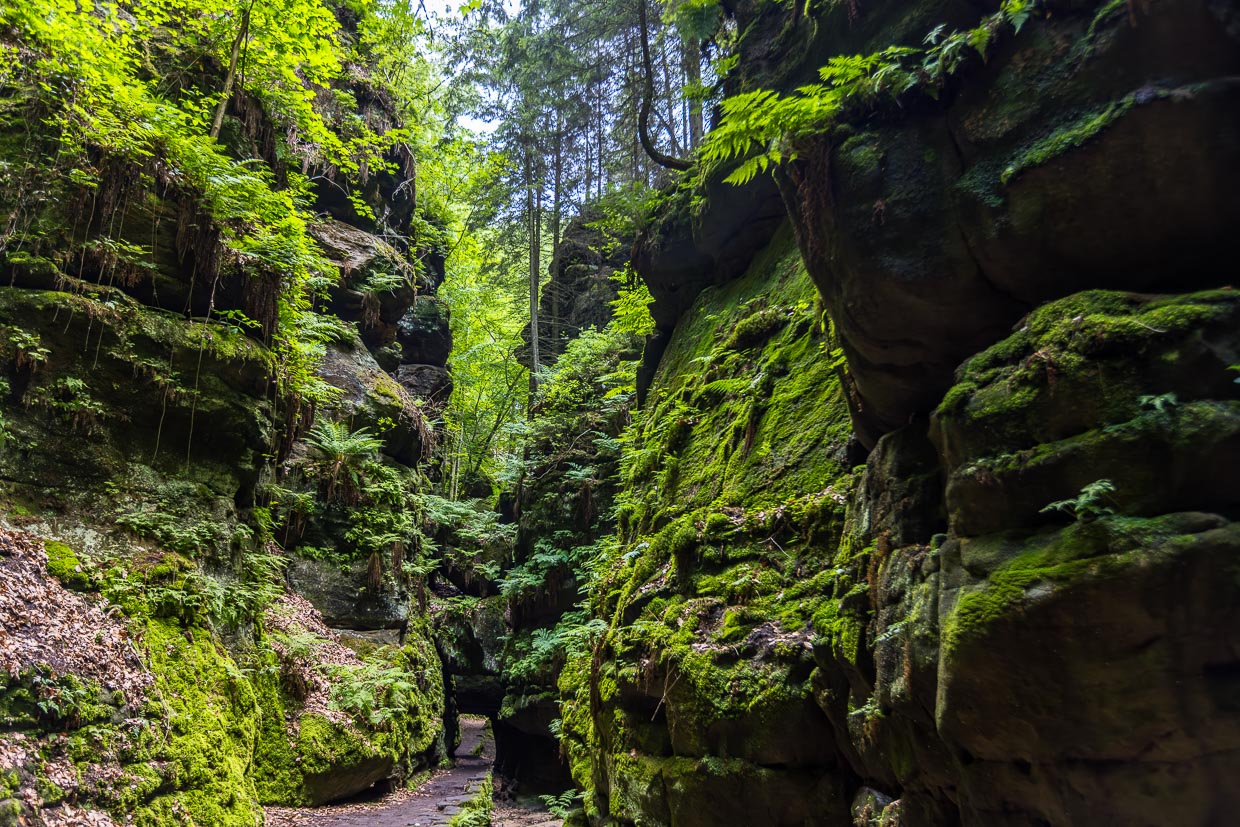 Utterwalder Felsentor. Elbsandsteingebirge. Nationalpark Sächsische Schweiz. Motiv und Inspirationsort des Malers Caspar David Friedrich im 19. Jahrhundert / © Foto: Georg Berg