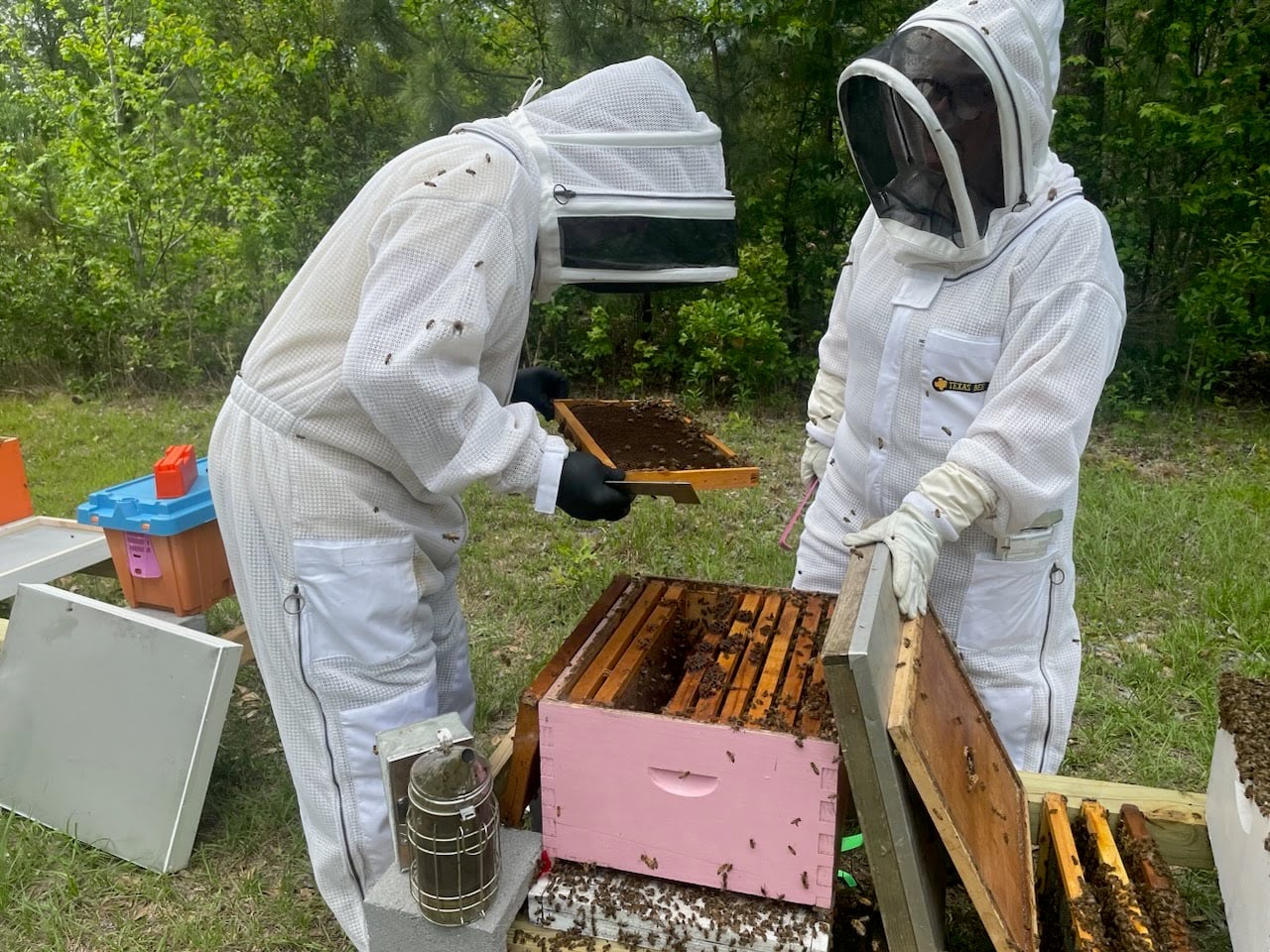 two beekeepers with hives