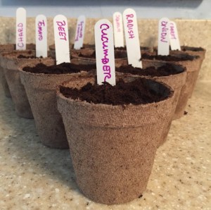 March 1st: the seeds are planted