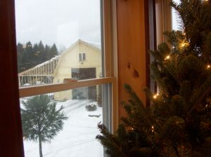 KONICA MINOLTA DIGITAL CAMERA