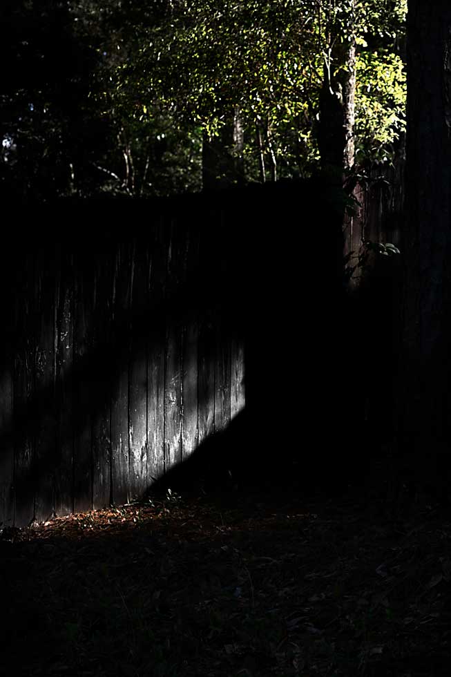 The back yard fence depicting isolation and lonliness