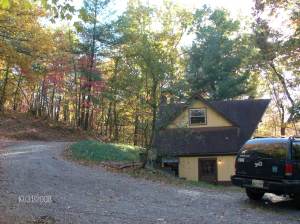 middle-of-drive Our new house in the woods