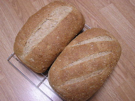 2009.05.27Multigrain01 Hamelman's Whole-Wheat Bread with a Multigrain Soaker
