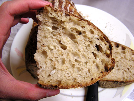Five-grain levain: crumb Five-grain levain: crumb