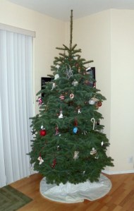 Finished Tree