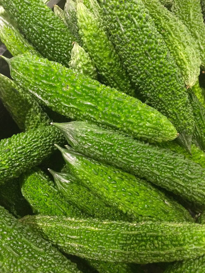 Bitter Kalebass Wallpaper