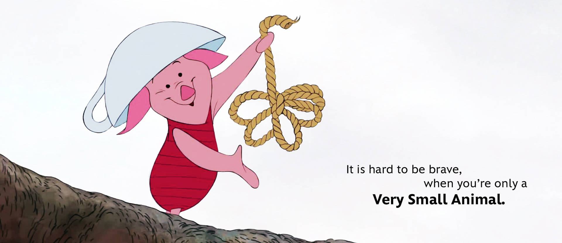 Piglet Background Photos
