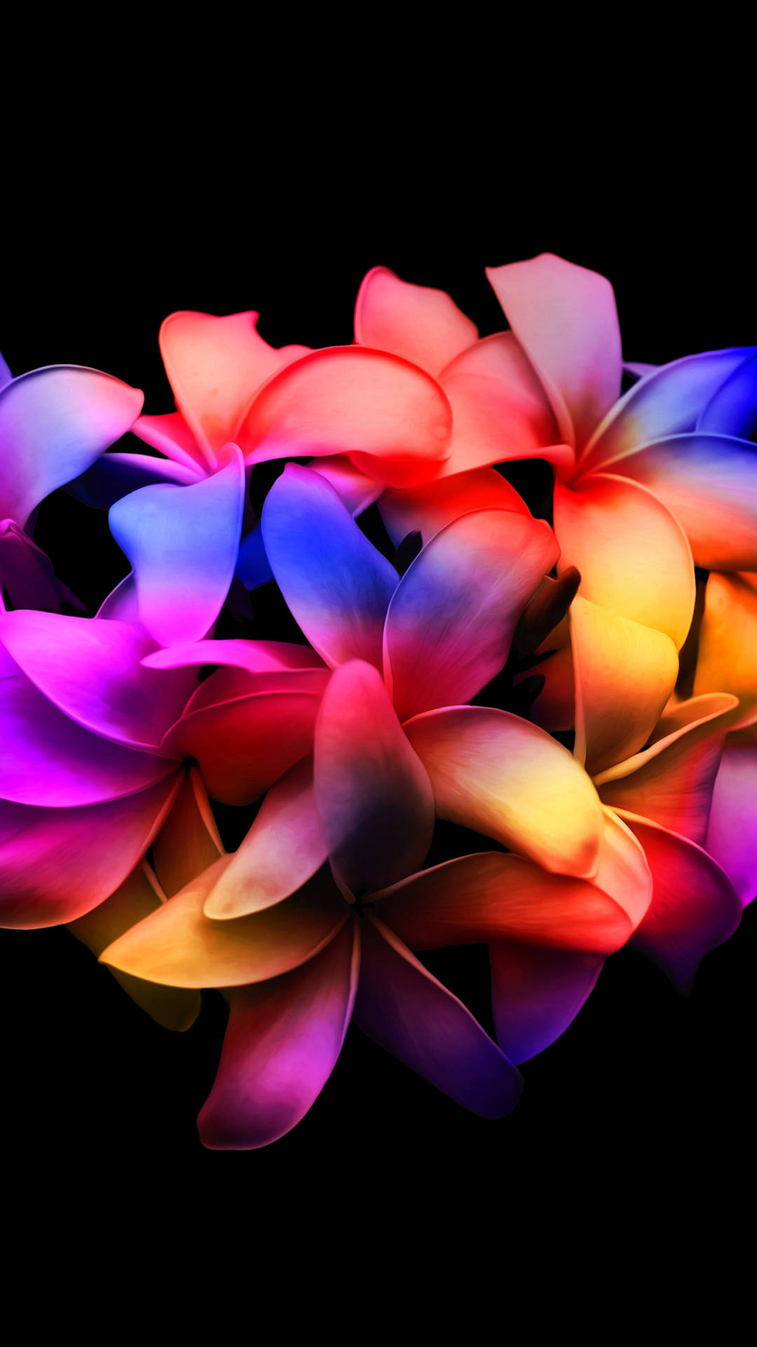 Färggladaamoled Plumeria Blomblad. Wallpaper