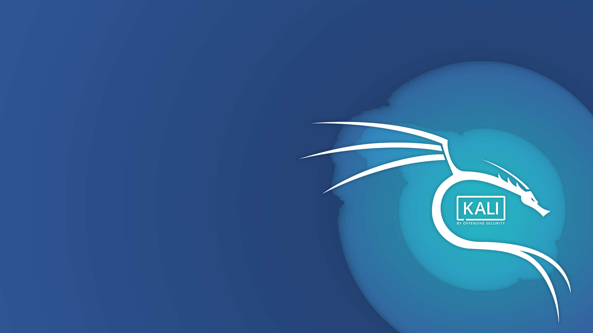 Denmørke Og Mystiske Verden Af Computer Hacking Med Kali Linux.