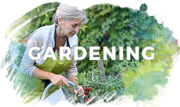 Gardening-Explore-More Gardening - mature woman watering tomato plants