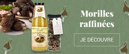 Morilles Morilles
