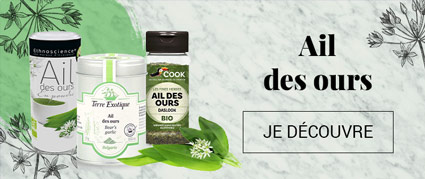 Ail des ours Ail des ours