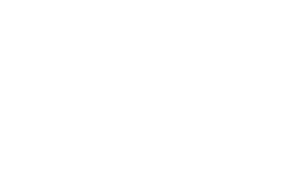 The City College of New York logo in white