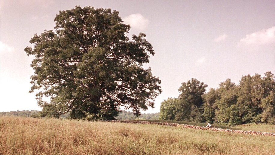 Evening Shade—Resistance Rising—Friday, April 17, 2026