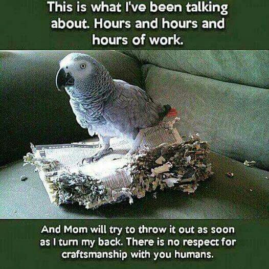 10 Gems of Bluesky Today – Day 312