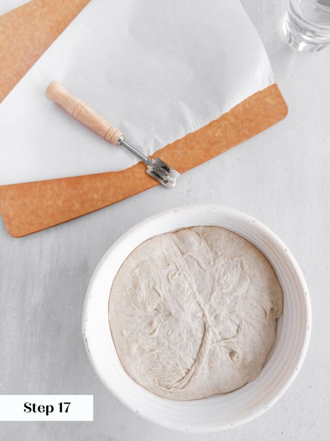 sourdough bread in dough proofing basket proofed and ready to bake.
