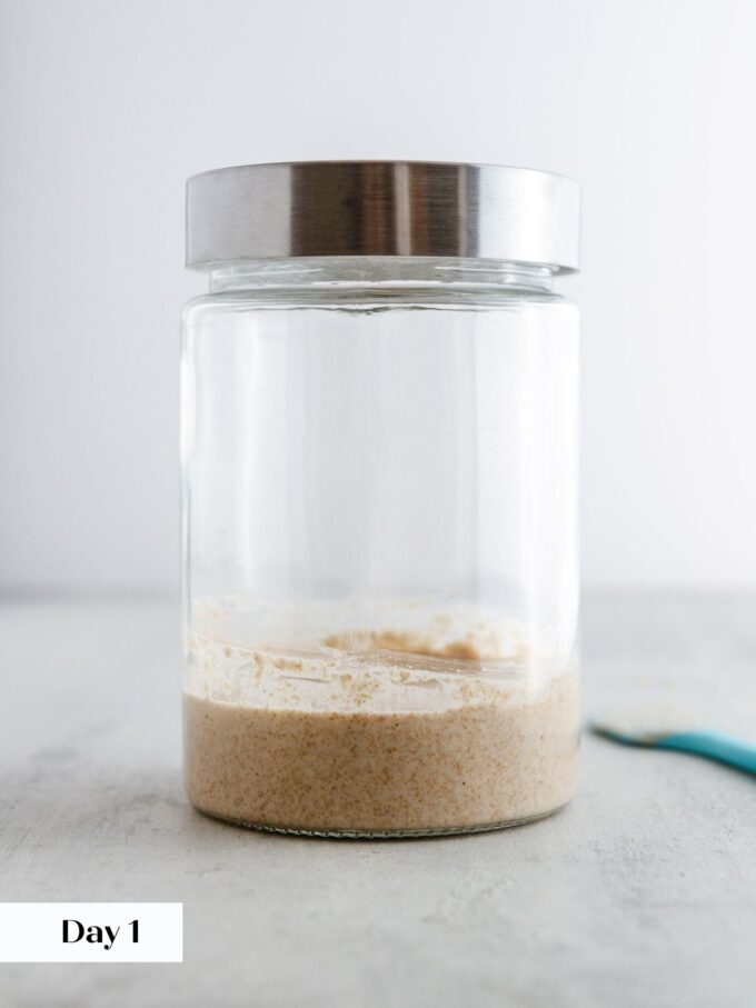 day 1 making sourdough starter glass jar viewed from side.
