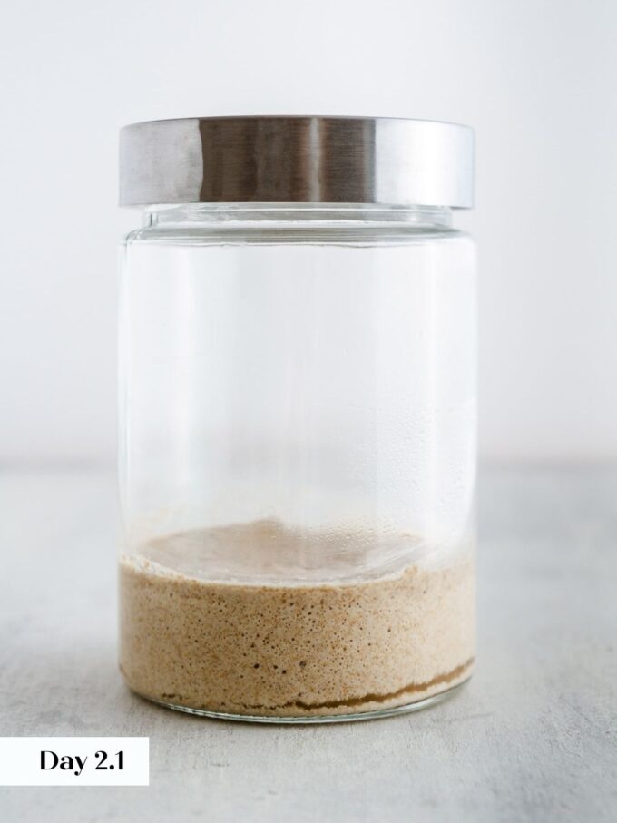 day 2 making sourdough starter glass jar viewed from side.