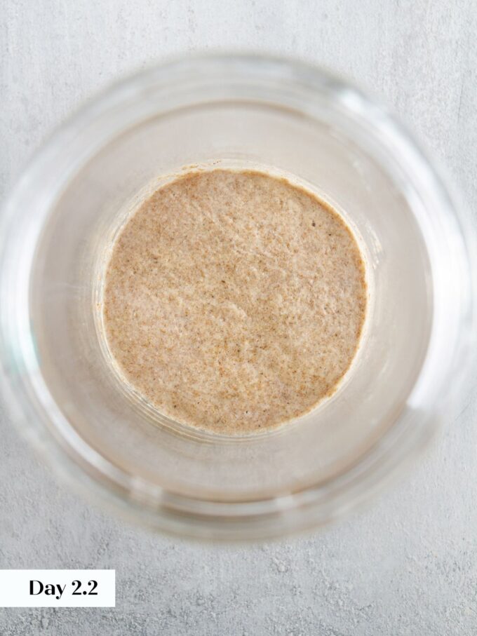 day 2 making sourdough starter glass jar viewed from top.