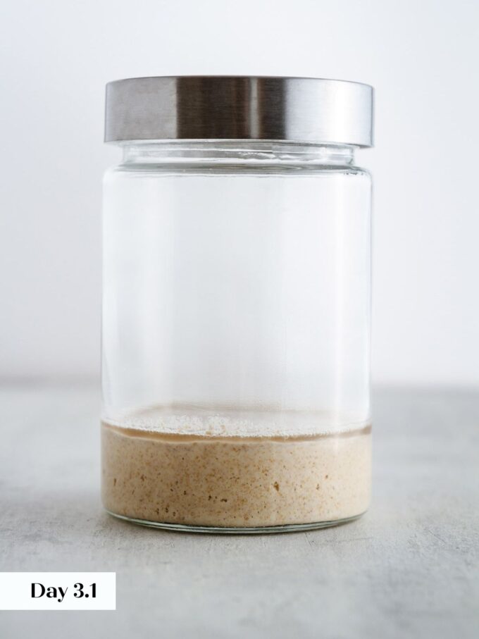 day 3 making sourdough starter glass jar viewed from side.